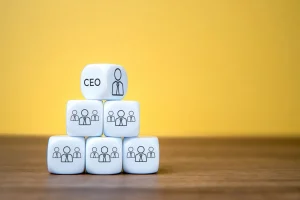 Limited Liability Company Formation in Türkiye